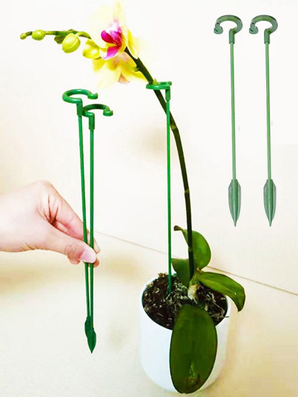 Supporti per Piante - Imagen 2