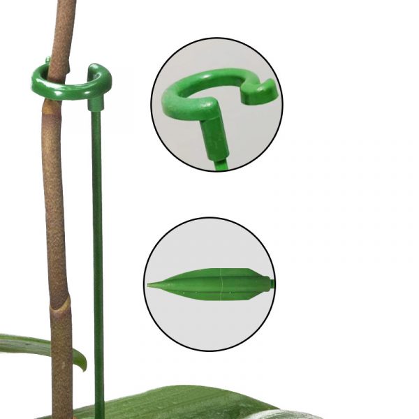 Supporti per Piante - Imagen 3